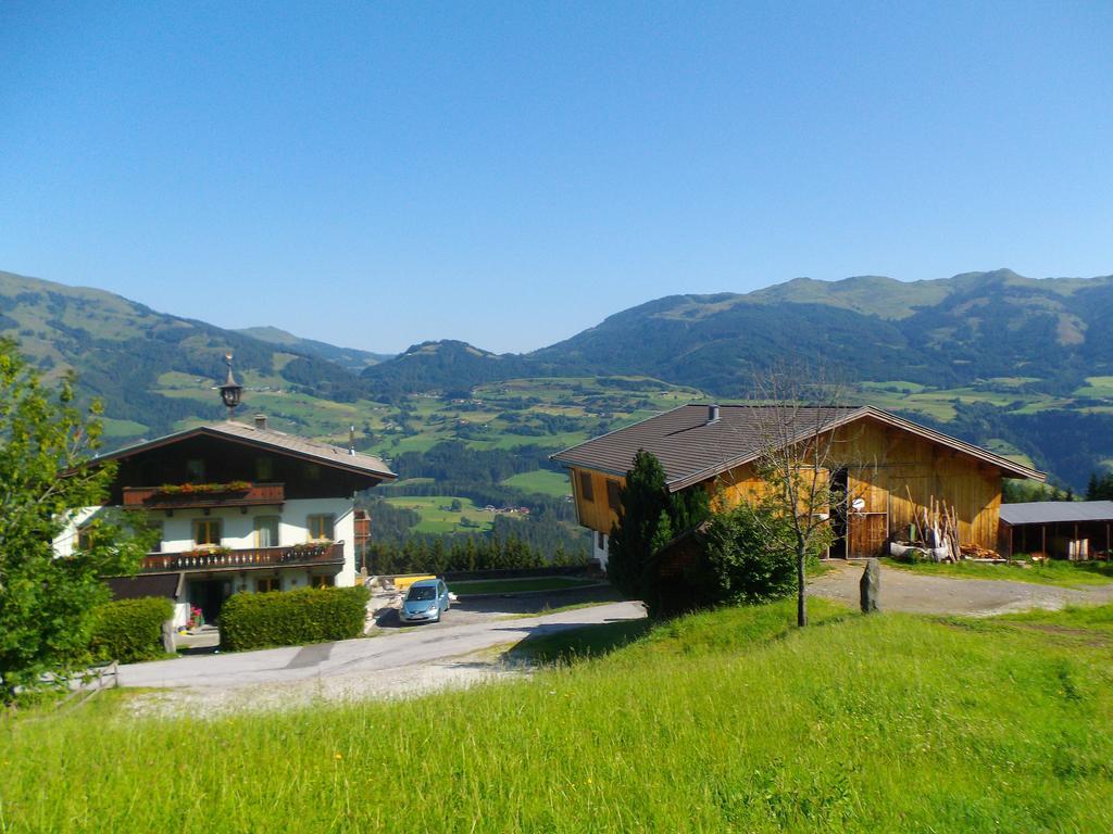 Ferienhaus Hochwimmer Hollersbach im Pinzgau Zewnętrze zdjęcie