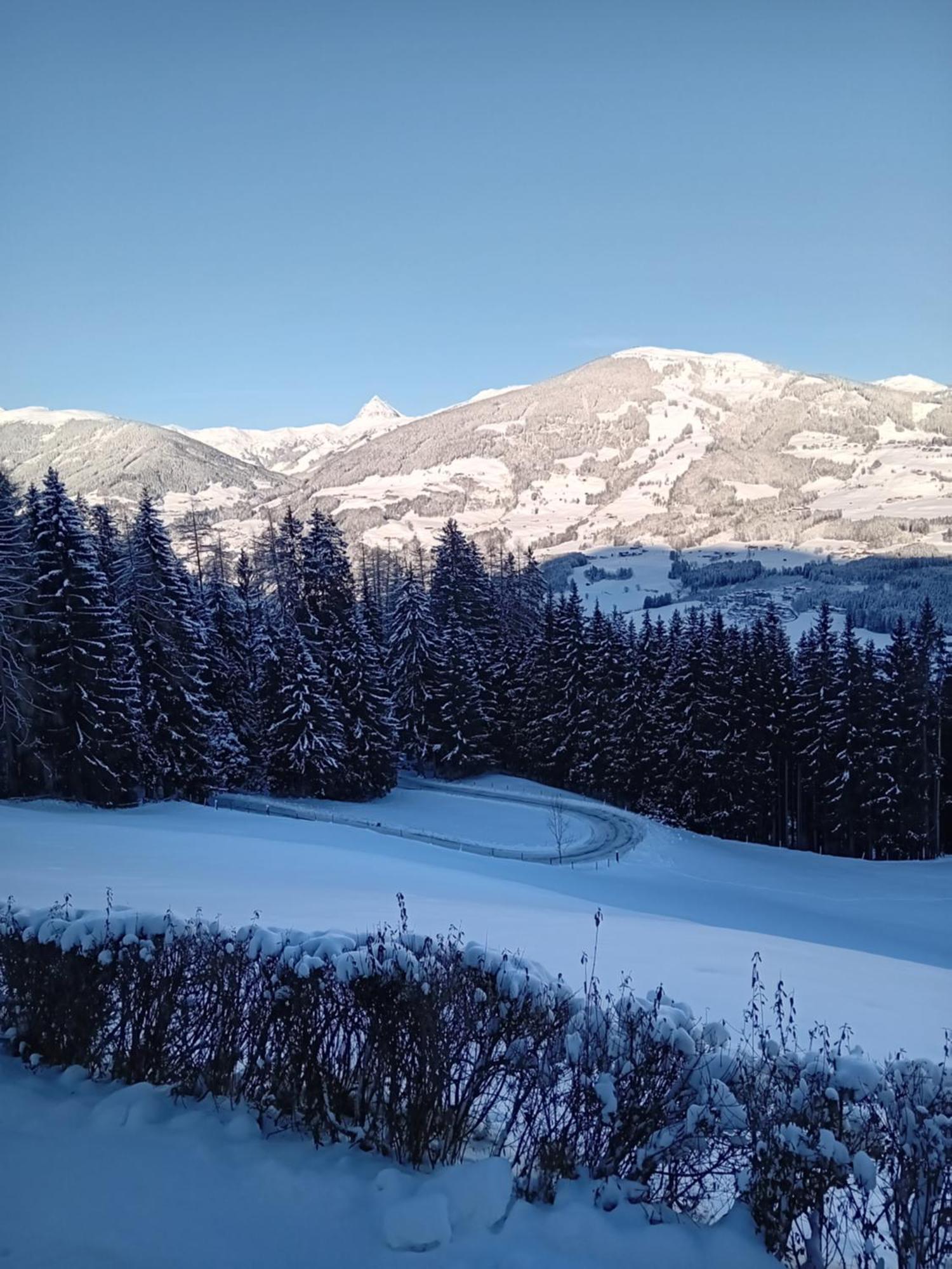 Ferienhaus Hochwimmer Hollersbach im Pinzgau Zewnętrze zdjęcie