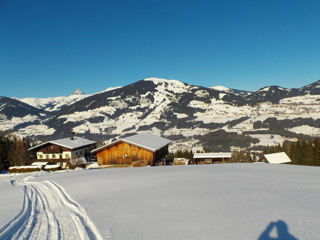 Ferienhaus Hochwimmer Hollersbach im Pinzgau Zewnętrze zdjęcie