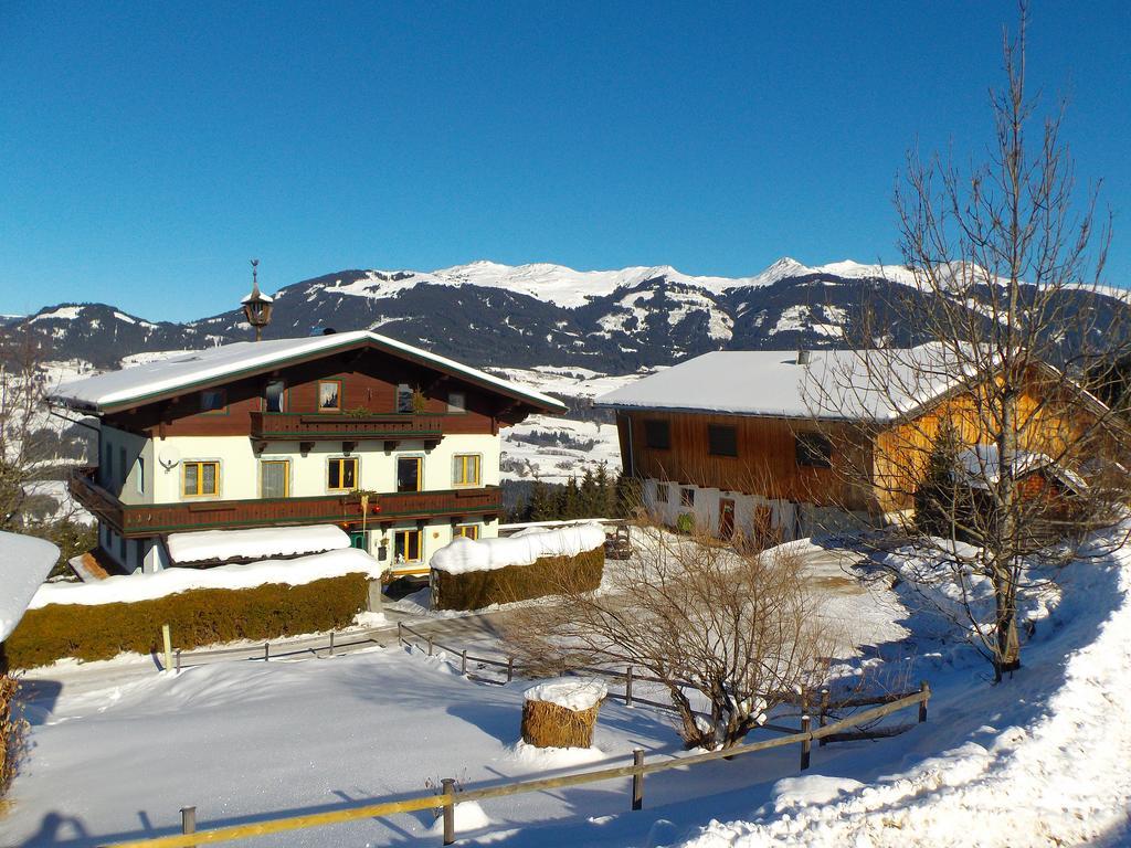 Ferienhaus Hochwimmer Hollersbach im Pinzgau Zewnętrze zdjęcie