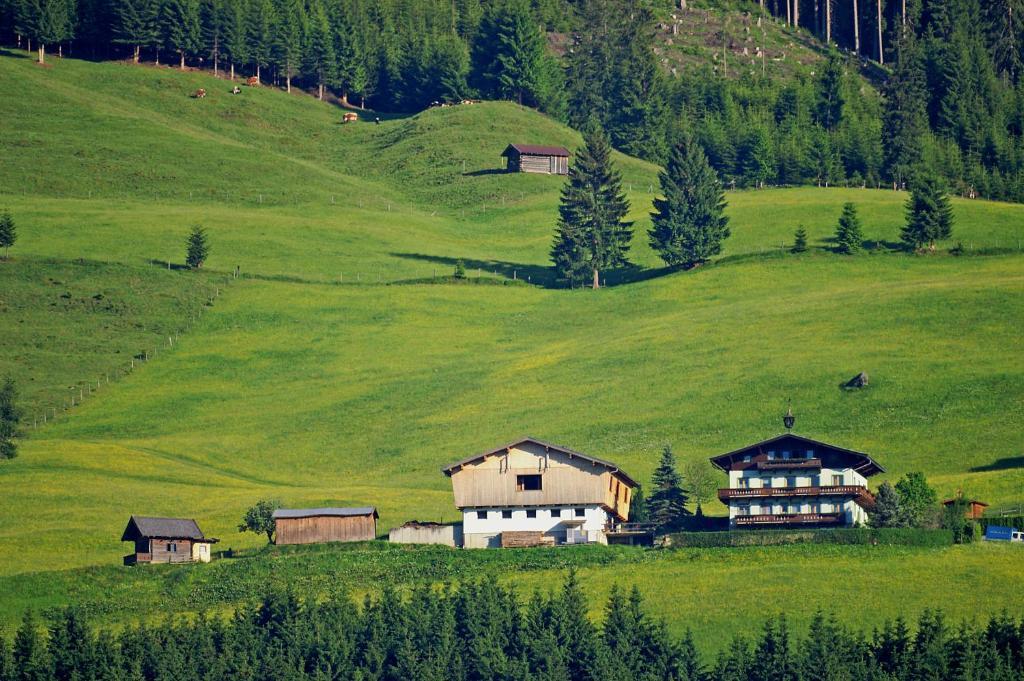 Ferienhaus Hochwimmer Hollersbach im Pinzgau Zewnętrze zdjęcie